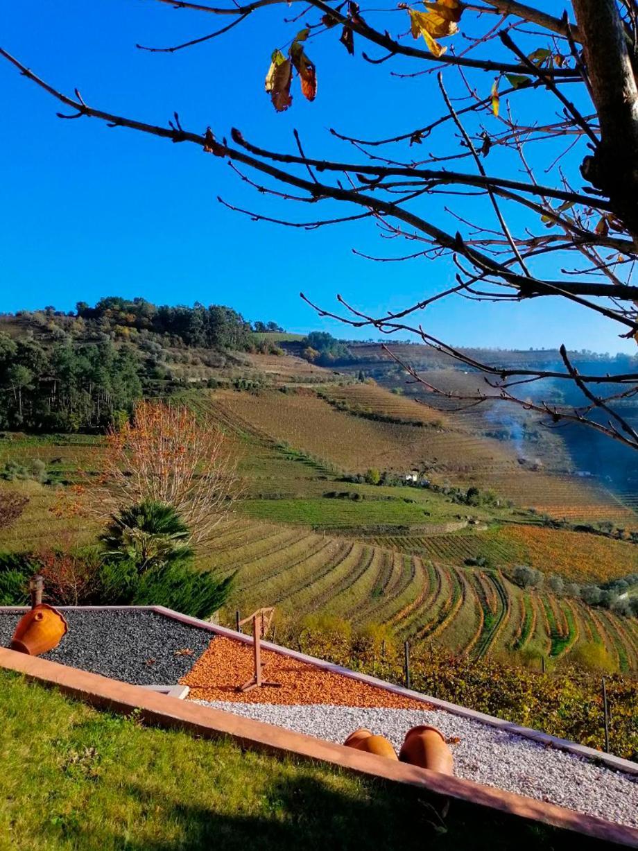Quinta De Baixo Villa Vila Marim Kültér fotó