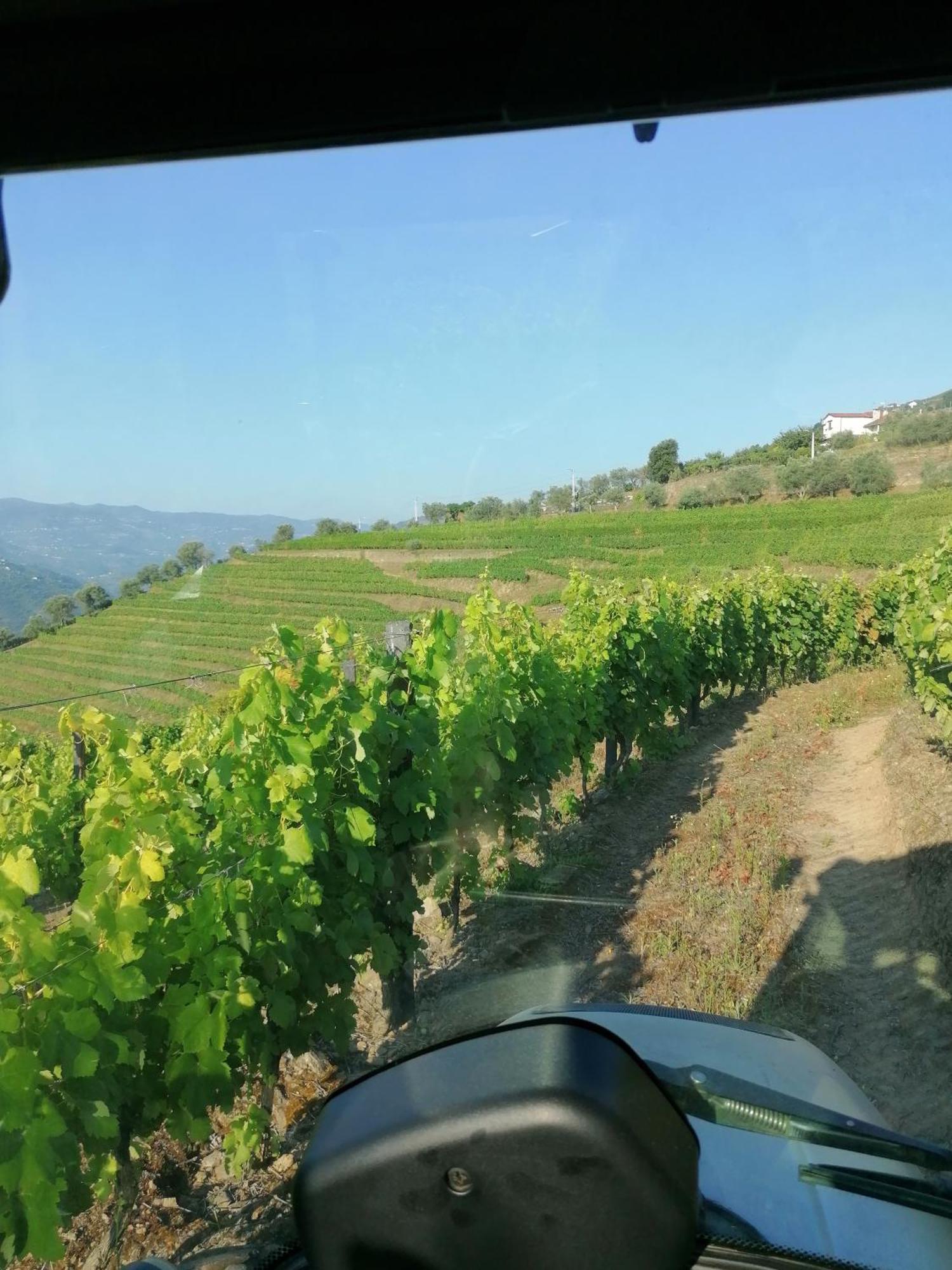 Quinta De Baixo Villa Vila Marim Kültér fotó
