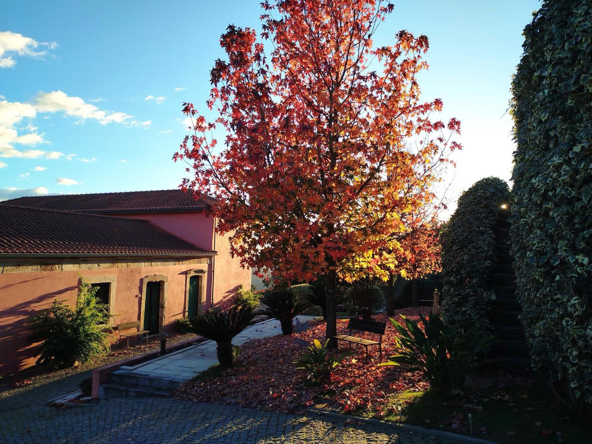 Quinta De Baixo Villa Vila Marim Kültér fotó